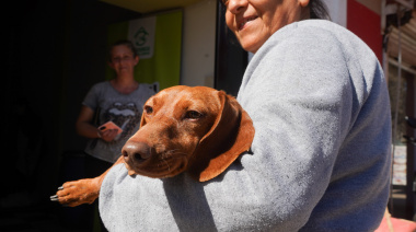 Anunciaron nuevos operativos veterinarios gratuitos en Gorina