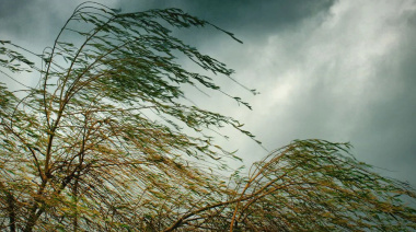Advierten por ráfagas de entre 60 y 70 kilómetros por hora para este domingo en La Plata