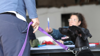 Anunciaron nuevos operativos veterinarios gratuitos en Altos de San Lorenzo y Lisandro Olmos