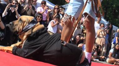 Plaza Azcuénaga será la sede de un Gran Desfile de Mascotas