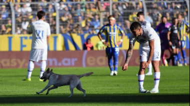 Un perro que bailó a todos fue la figura del partido, y la tribuna gritaba "Ole, ole"