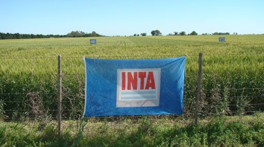 El Gobierno lanzó un retiro voluntario para reducir mil puestos de trabajo en el INTA