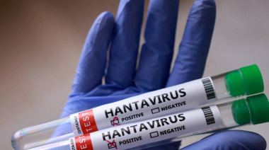 La detección de casos en un crucero encendió las alertas: ¿qué es y cómo se transmite el hantavirus?