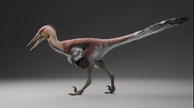 Hallaron en la Cordillera de los Andes una nueva especie de dinosaurio argentino