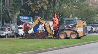 Plan de obras en el Parque Saavedra de La Plata: vecinos convocan a una marcha contra el "cambio vehicular" que implica