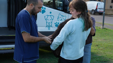 Perros y gatos mayores de tres meses podrán vacunarse gratis en Villa Elvira