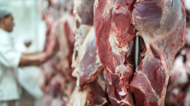 Automatización del procesamiento de carne: tendencias que impulsan la competitividad de la industria