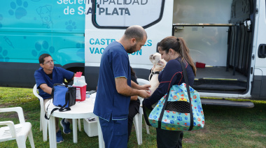 La Plata: jornada veterinaria gratuita en Los Hornos, con castraciones y vacunas