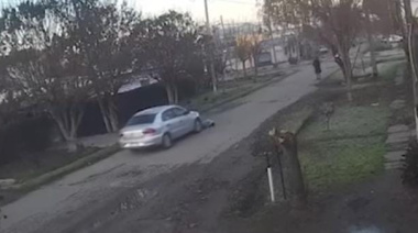 Un automovilista chocó a un perro, escapó y generó indignación en Lisandro Olmos