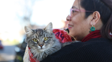 Llegan jornadas municipales de vacunación veterinaria gratuita a Abasto