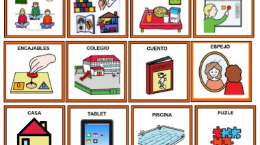 Las líneas de micros de la Provincia deberán incorporar pictogramas para mejorar la accesibilidad