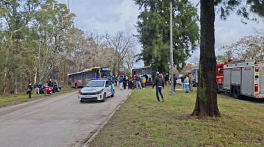 Un micro de la línea 202 chocó con un auto e impactó contra un árbol en Berisso