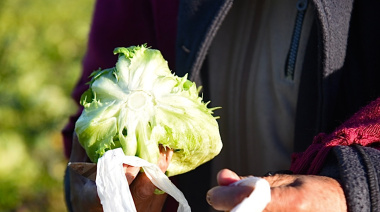 Meridiano V será sede de un evento gratuito con verduras, talleres y espectáculos