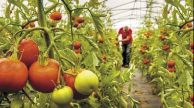 Productores de la región advirtieron sobre la "situación crítica" del sector