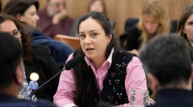 Ayelén Rasquetti expuso en el Congreso sobre el desvío del impuesto a los combustibles
