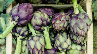 El sábado se llevará a cabo la 4° edición de la fiesta del alcaucil en Los Hornos