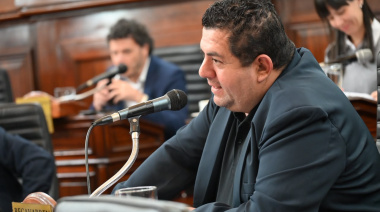 Presentaron un proyecto para crear un registro de hogares monoparentales en La Plata