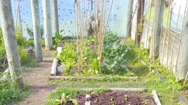 El Parque Ecológico de La Plata llevará adelante distintas actividades gratuitas
