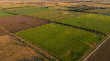 La Justicia le ordenó al Gobierno informar y preservar datos sobre tierras rurales