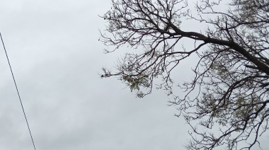 Consecuencias de la tormenta en la región: cortes de luz, caída de ramas y calles anegadas