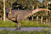 Paleontólogos del CONICET descubrieron una nueva especie de dinosaurio carnívoro que habitó la Patagonia