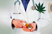 Científicos de la Universidad Nacional de la Plata lograron avances en el uso medicinal del cannabis