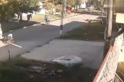 Detuvieron al conductor del camión que atropelló y mató a la barrendera en La Plata