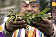 Realizarán en La Plata y la CABA dos jornadas "que ponen en diálogo la medicina mapuche con el derecho a la salud y el reconocimiento del pluralismo médico"