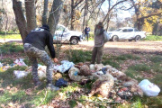 Hallaron más de 12 animales decapitados en el Parque Pereyra Iraola: "no es común que suceda en esta magnitud"