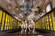 El Museo y el Planetario se suman a la agenda de las vacaciones de invierno en La Plata