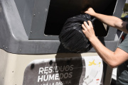 ¿Cómo funcionarán los servicios municipales de La Plata durante el domingo de elecciones?