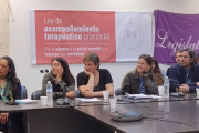La regulación del trabajo de los acompañantes terapéuticos en la Provincia está cerca de la media sanción en Diputados