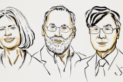 Una investigadora del CONICET explica los descubrimientos de los ganadores del Nobel de Medicina