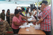 La Plata tuvo su Fiesta de la Frutilla