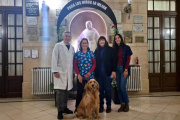 En el Hospital de Niños de La Plata se lleva adelante la primera experiencia de intervención asistida con animales