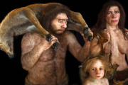Un nuevo estudio reveló cómo un fragmento de ADN contribuyó a desarrollar la capacidad humana para el lenguaje