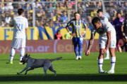 Un perro que bailó a todos fue la figura del partido, y la tribuna gritaba "Ole, ole"