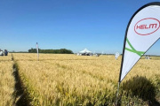 Otra empresa radicada en territorio bonaerense se va de la Argentina