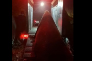 El elefante marino que fue visto en el camino a Isla Santiago fue liberado en una zona cercana al Mar Argentino