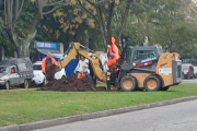 Plan de obras en el Parque Saavedra de La Plata: vecinos convocan a una marcha contra el "cambio vehicular" que implica