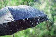 La Plata: prevén lluvias aisladas para la tarde y la noche de este jueves