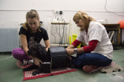 Investigadores de La Plata desarrollan un tratamiento para la artrosis canina