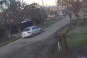 Un automovilista chocó a un perro, escapó y generó indignación en Lisandro Olmos
