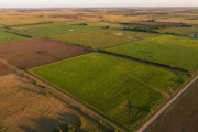 La Justicia le ordenó al Gobierno informar y preservar datos sobre tierras rurales