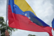 Venezolanos radicados en La Plata se manifestaron para pedir elecciones en su país