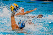 Ocho jugadores de Universitario de La Plata integrarán la Selección Argentina de waterpolo