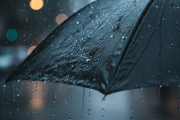 Tormentas en La Plata: el municipio anticipó chaparrones fuertes para este viernes