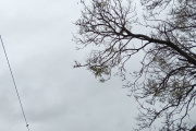 Consecuencias de la tormenta en la región: cortes de luz, caída de ramas y calles anegadas
