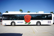 Investigan a La Nueva Metropol por un presunto fraude con subsidios al transporte