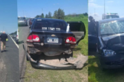 Un chancho provocó un choque múltiple en la Autopista Buenos Aires - La Plata